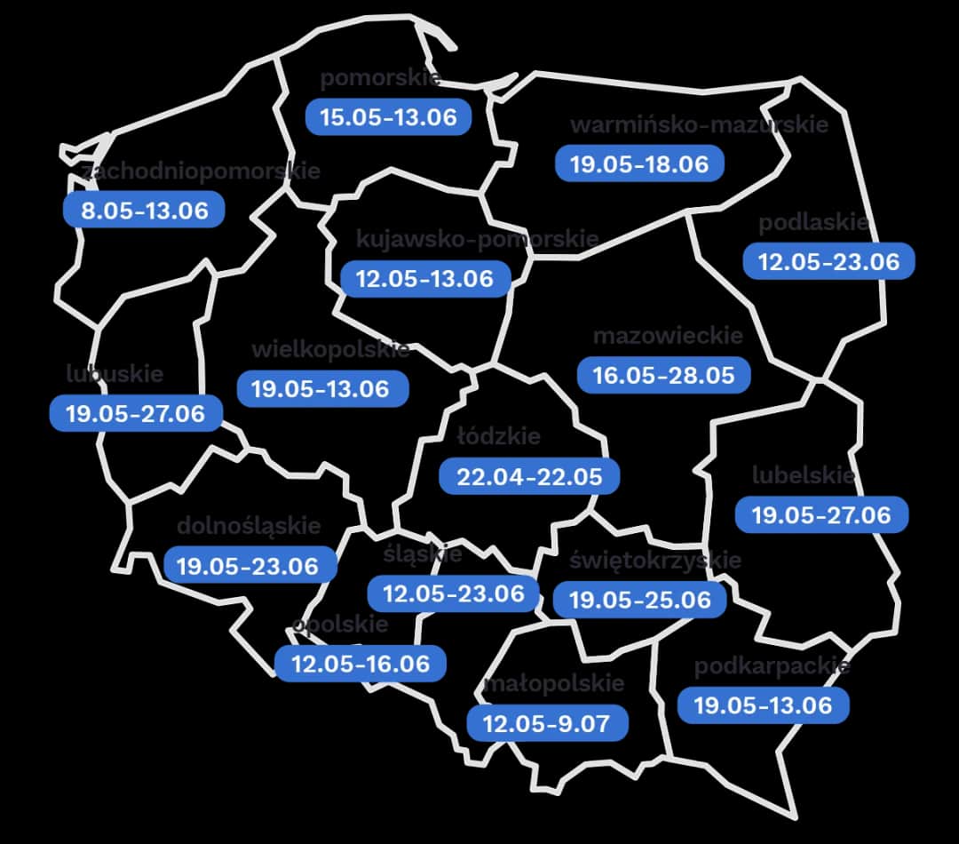 Wyniki rekrutacji do szkół: Dokładne daty, godziny i instrukcje