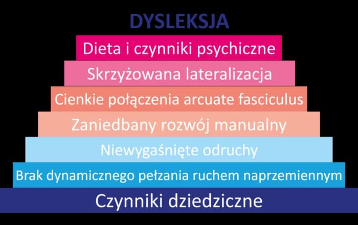 Dysleksja: Zrozum, zdiagnozuj, wspieraj! Pełny przewodnik